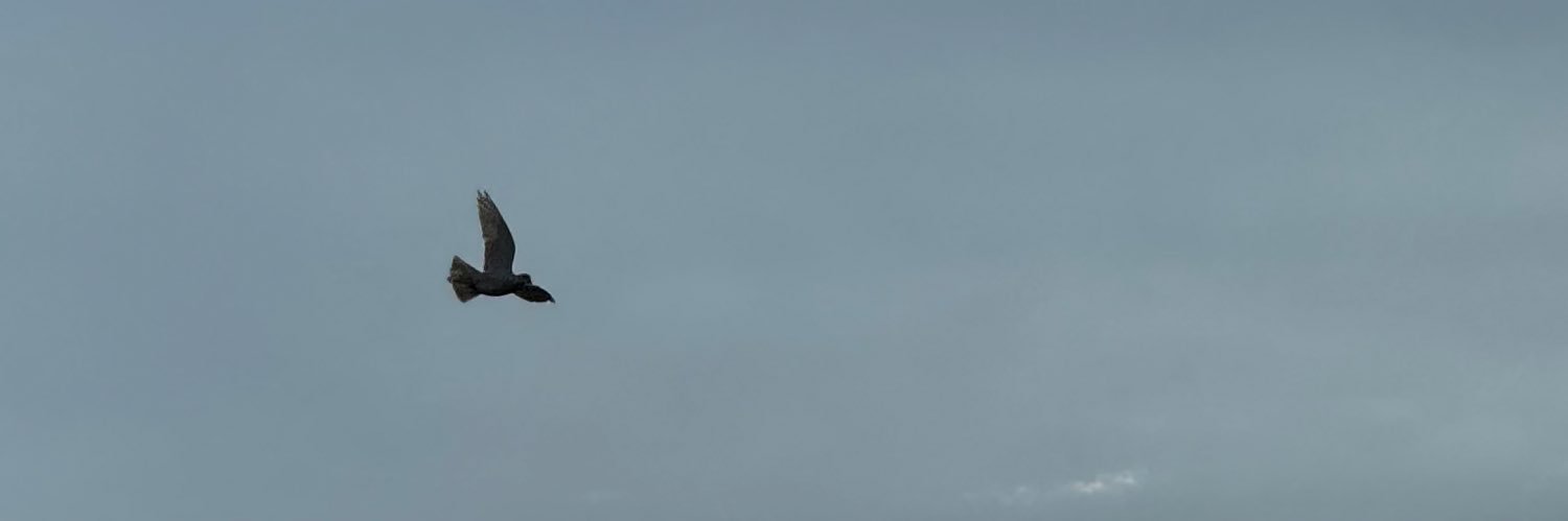11_y2's profile banner image