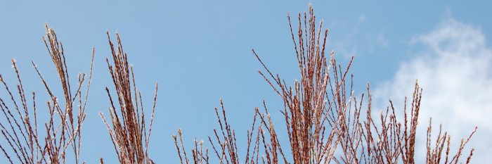 AndreasPfuhl's profile banner image