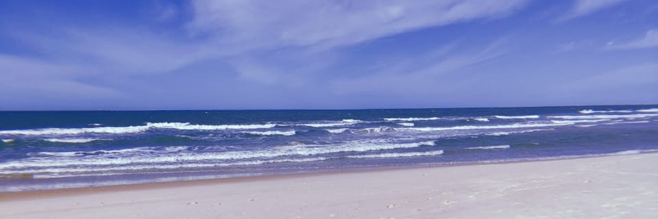 Sam_Steffani's profile banner image