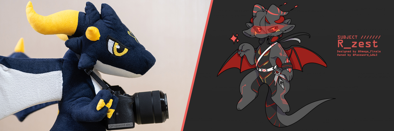 Password 6863 banner