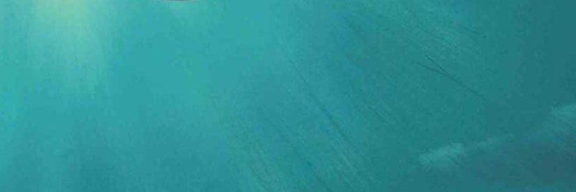 Mecid banner