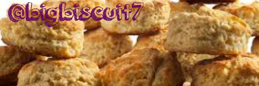 bigbiscuit7's profile banner image