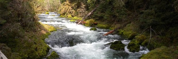 Janet Hansen⭐⭐⭐ banner