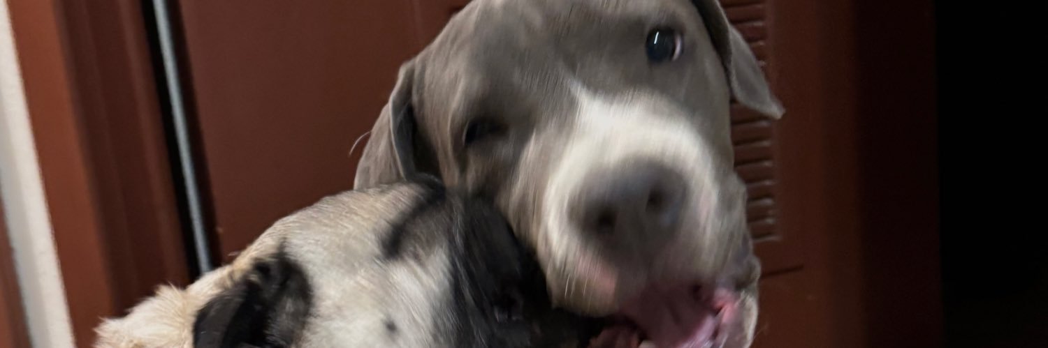 Janeth_Castor's profile banner image