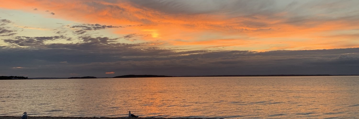 ChenaeLW's profile banner image