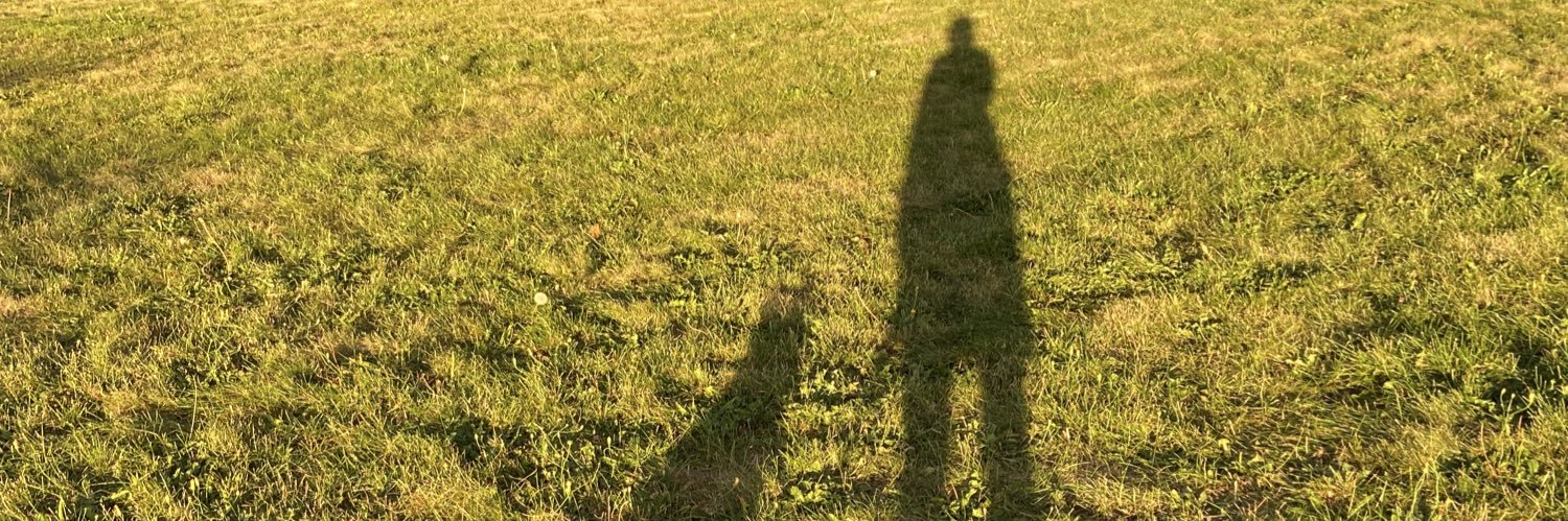 punzill2's profile banner image