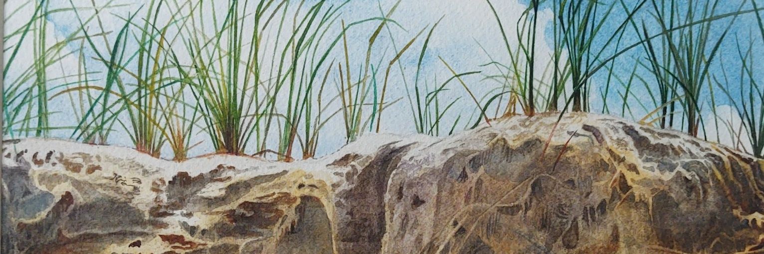 aaronstration's profile banner image