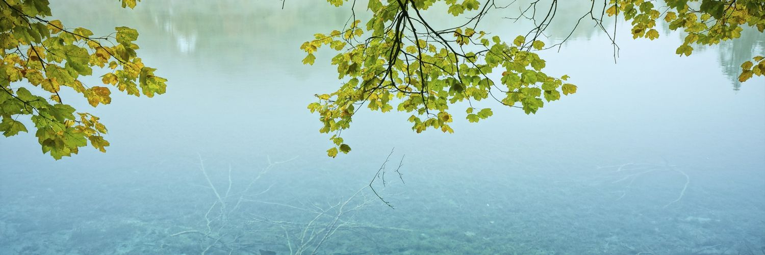 lapis_yuu's profile banner image