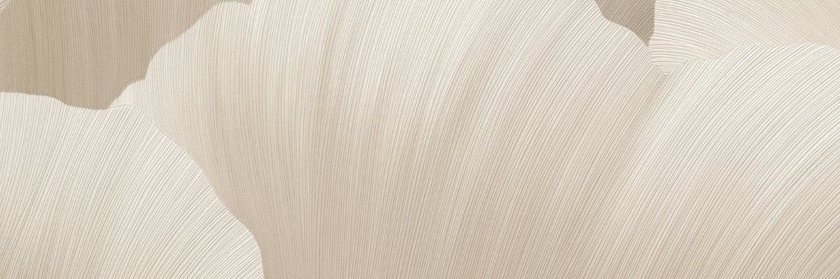 Olgunnn97's profile banner image