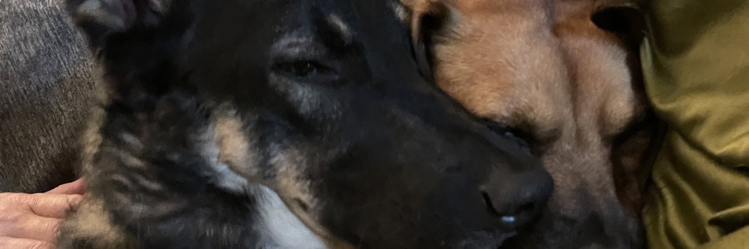 kel_hix's profile banner image