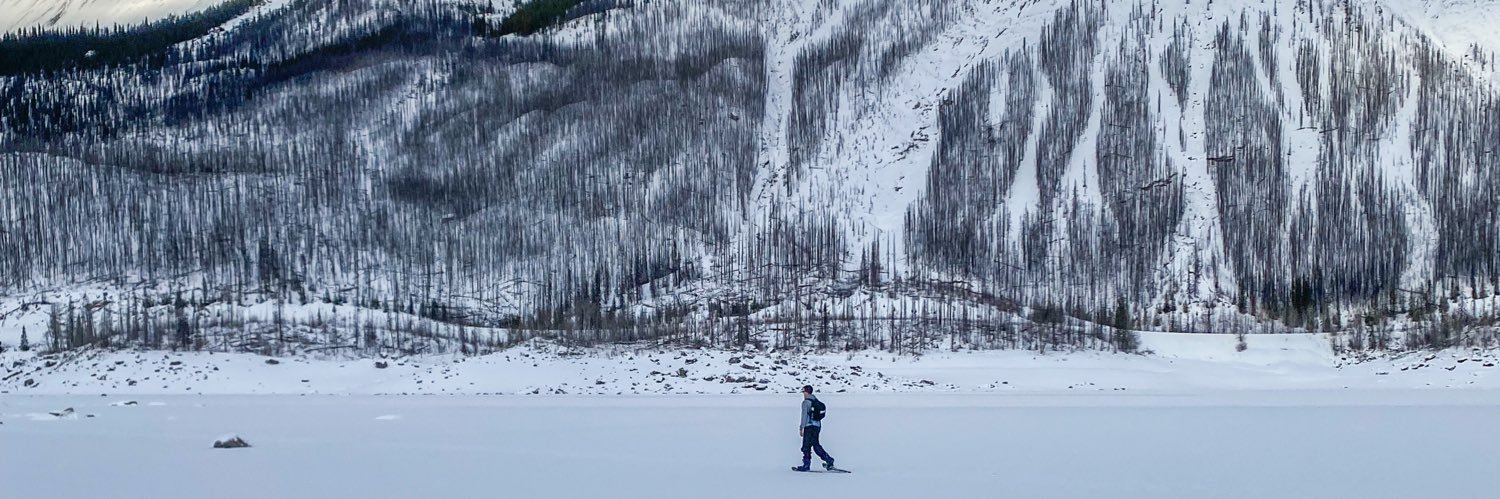 Phil Darlington banner