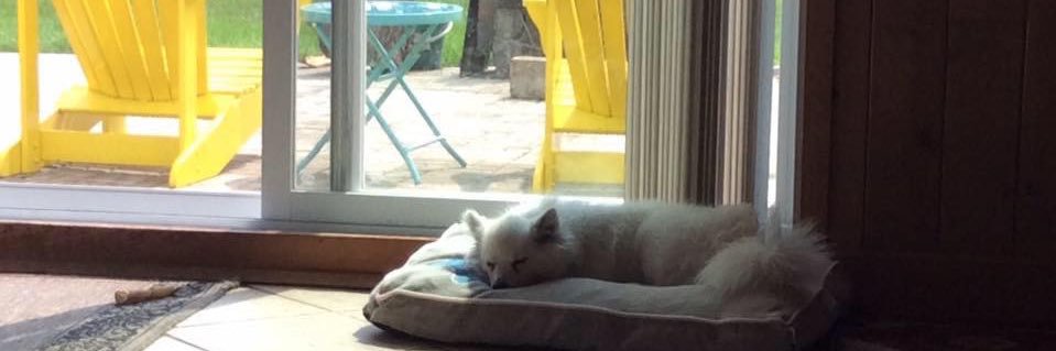 Denise Lamarre banner