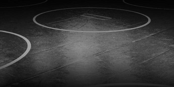 MIT Wrestling banner