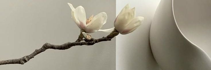 cutestfind's profile banner image