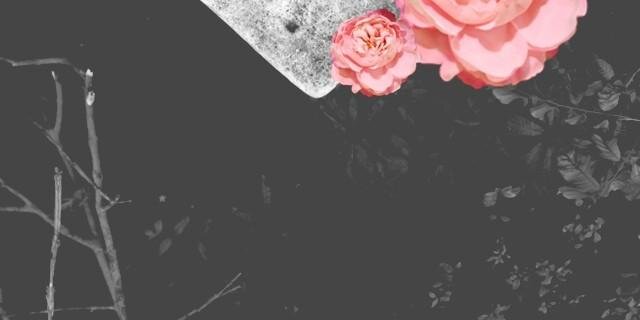 99names_'s profile banner image