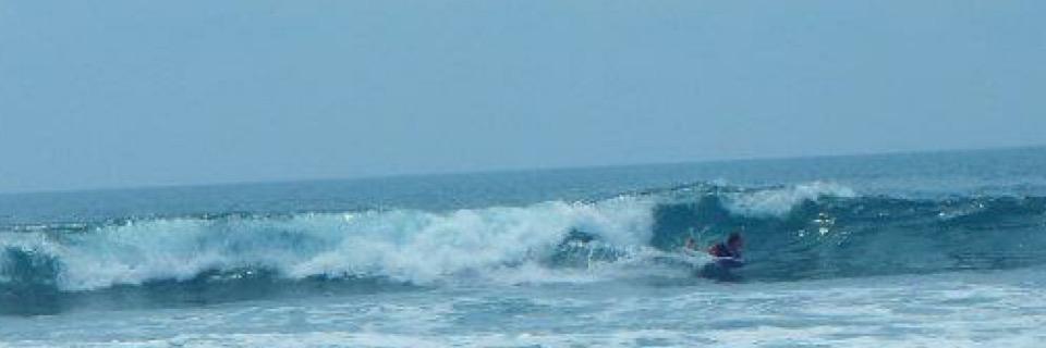 surfqoo's profile banner image