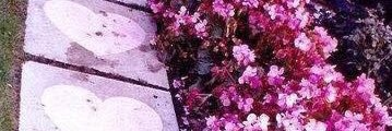 stst1403's profile banner image