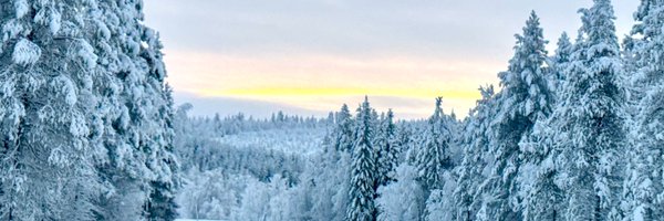VFinnishProbs Profile Banner