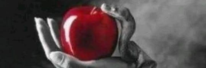 Luciernaga_1995's profile banner image