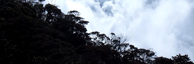 Ikzan_010's profile banner image