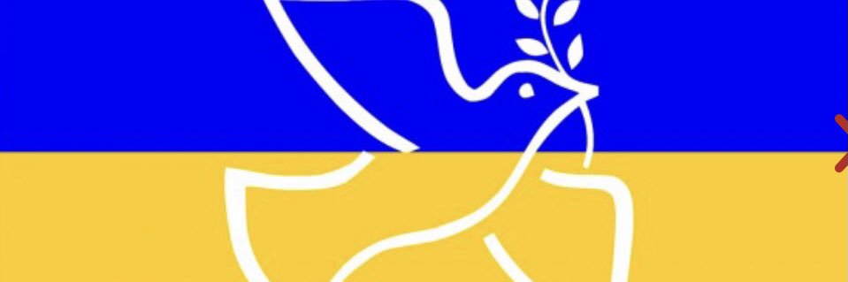 CSteger68's profile banner image