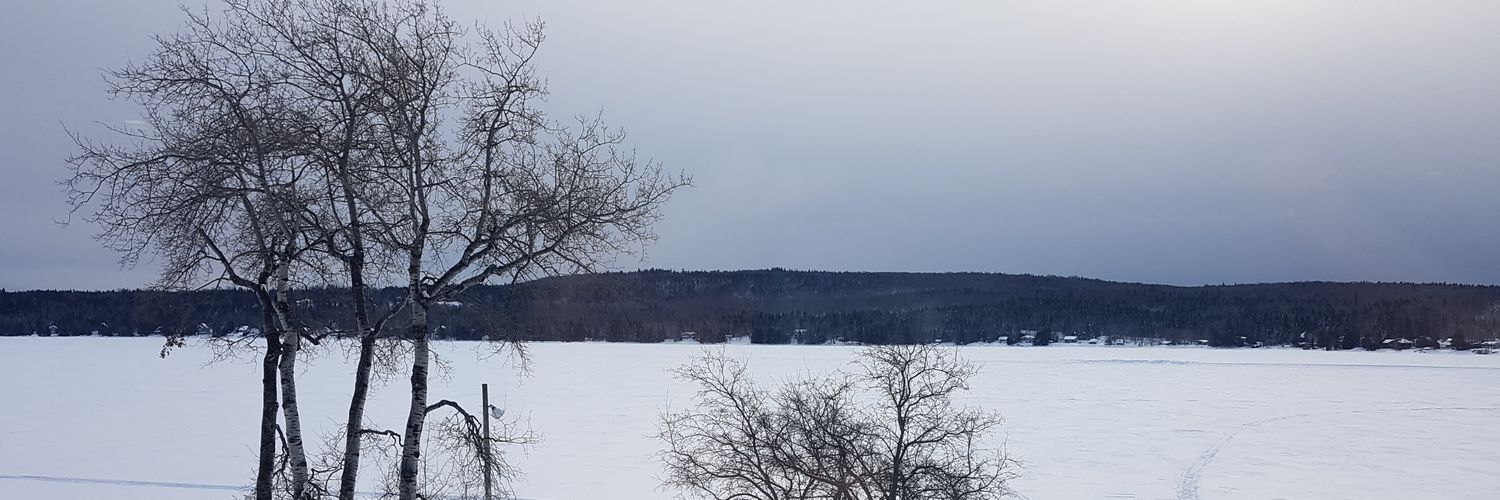 Diamondpilot's profile banner image