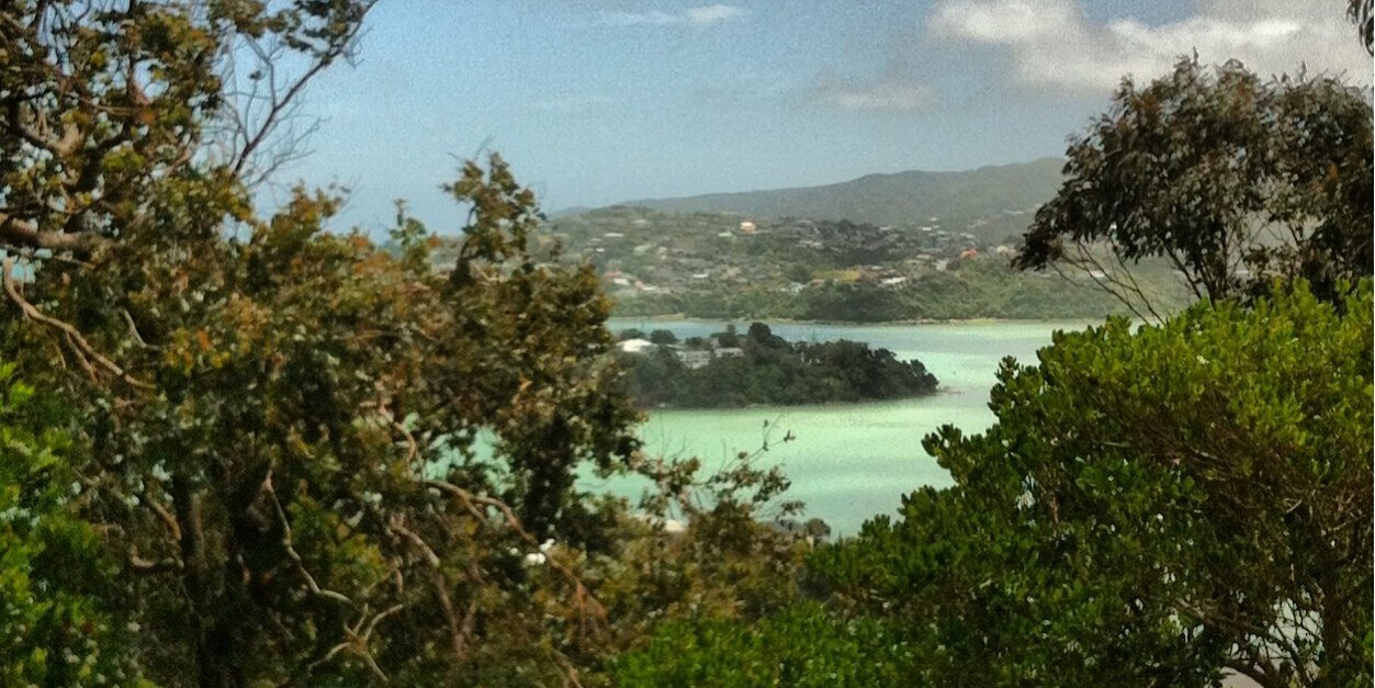 WhitbyNZ's profile banner image