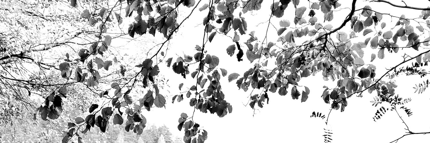IngaEhderGahm's profile banner image