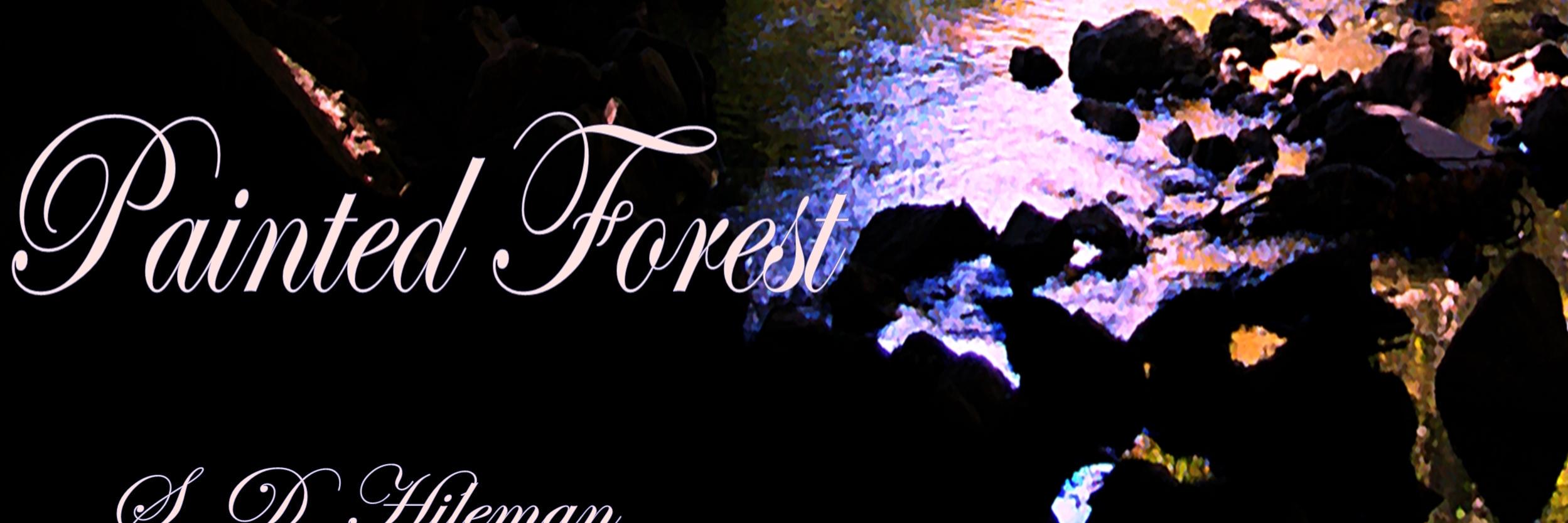 SDHileman's profile banner image