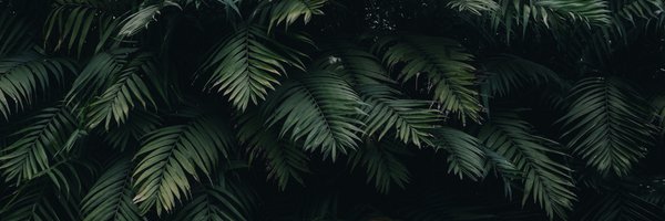 Alternabis Profile Banner