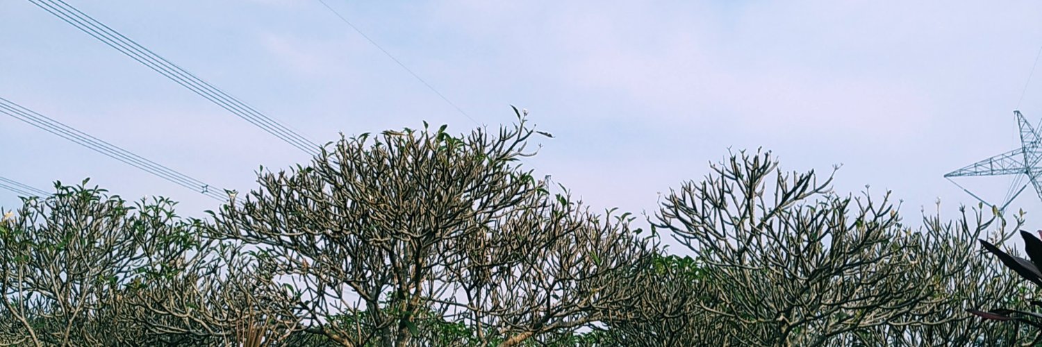 ImAmalia's profile banner image