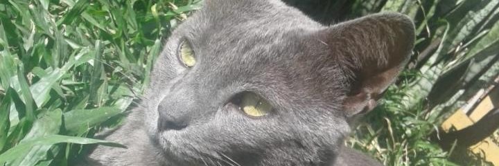 LcHardRic's profile banner image