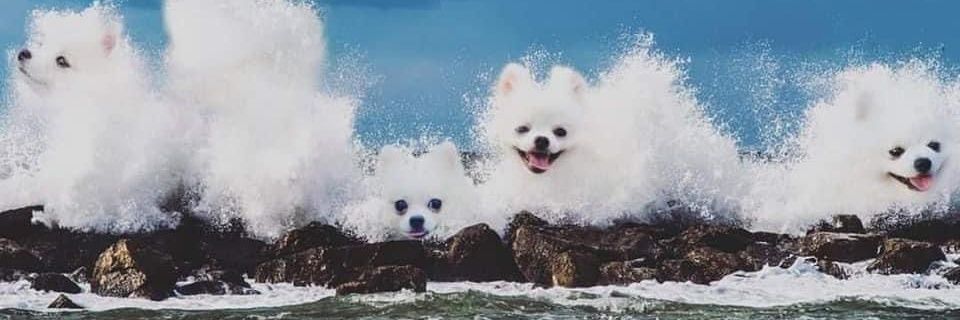 deevn_n's profile banner image
