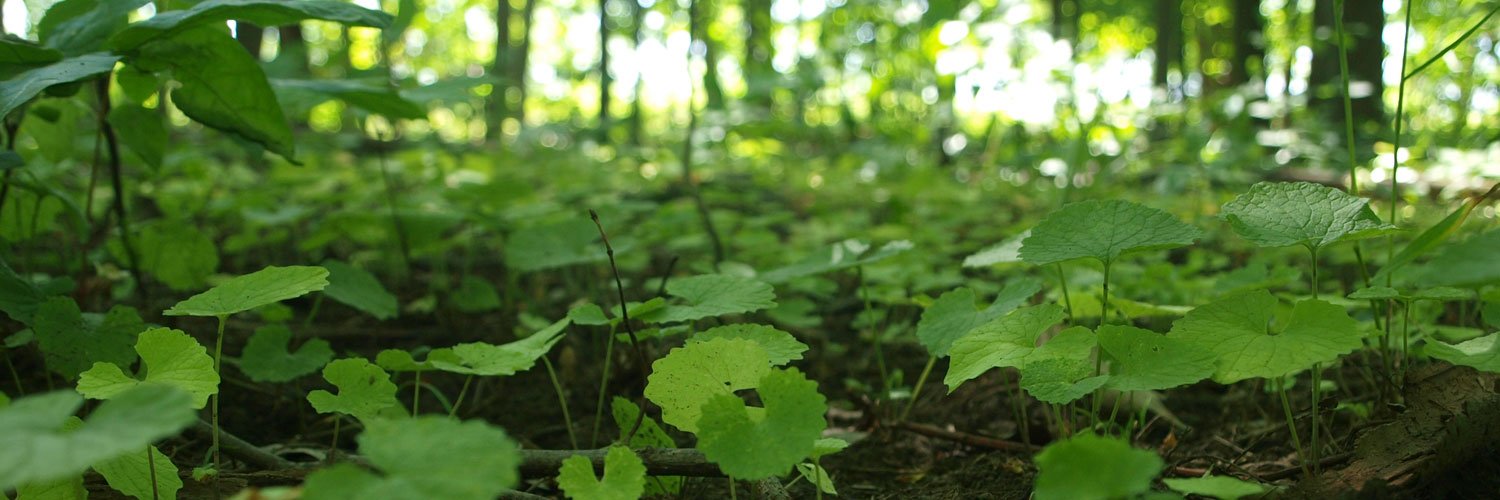 Justin Connolly banner