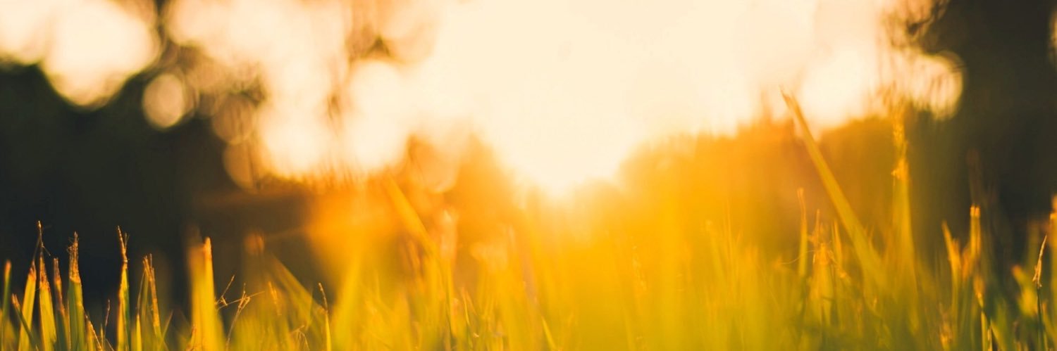 mandy_lu11's profile banner image