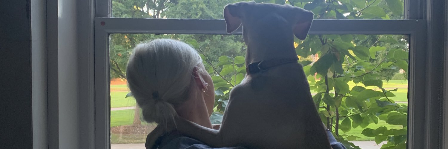 gracieethomp's profile banner image