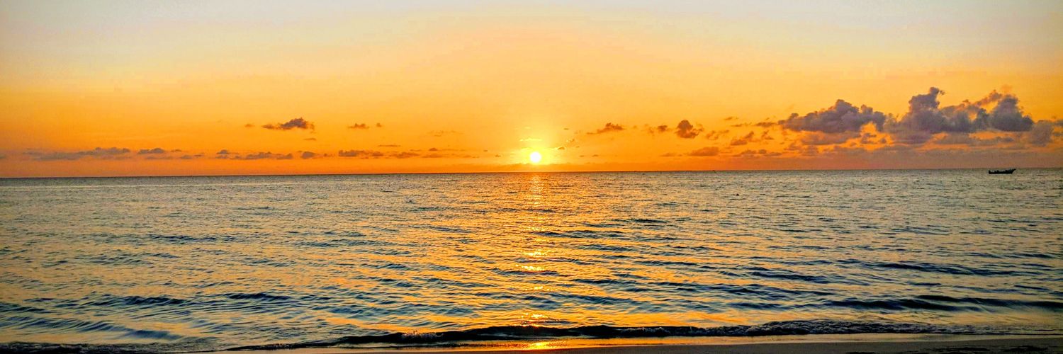 Michael Matulef banner