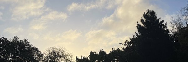 markhillmusic Profile Banner