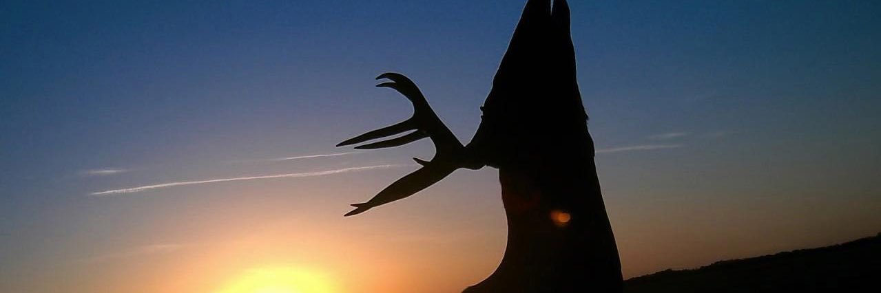 JusticeStubb's profile banner image
