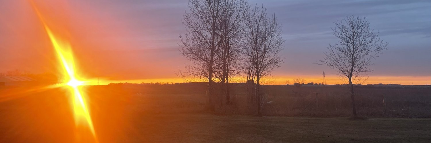 Chiricahua ClawingBear banner