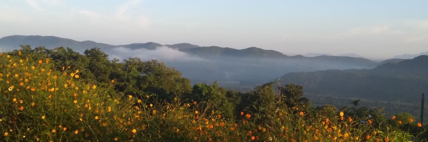 Tejal_roots's profile banner image