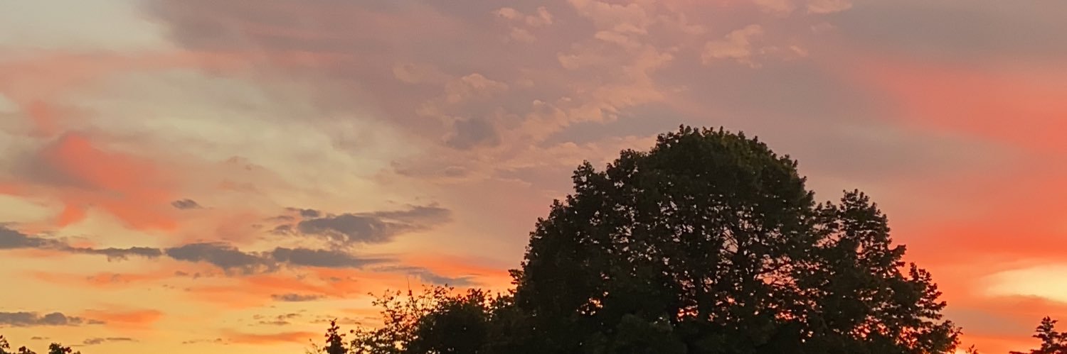 emmax____'s profile banner image