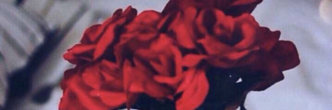 Ghada24680's profile banner image