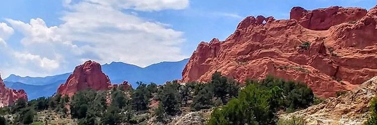 NotTheRealBethB's profile banner image