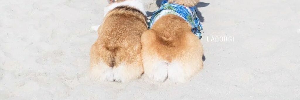 Justfuck__'s profile banner image