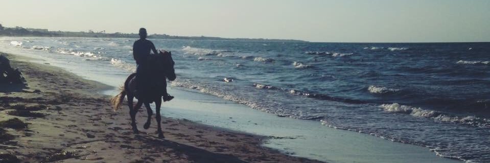 ilyessdt's profile banner image