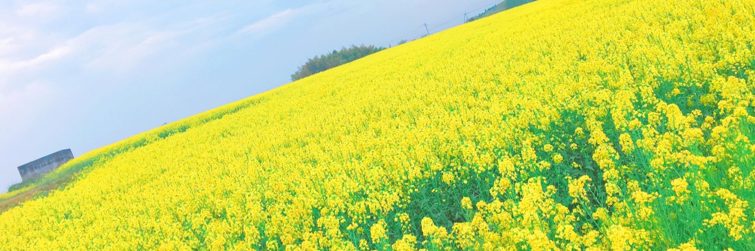 chan_pati's profile banner image