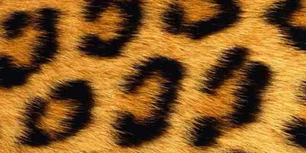 Andrewblancha06's profile banner image