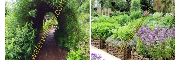 waterwillows Profile Banner