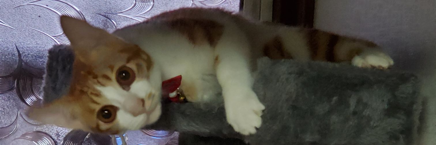 werdfgtyu's profile banner image